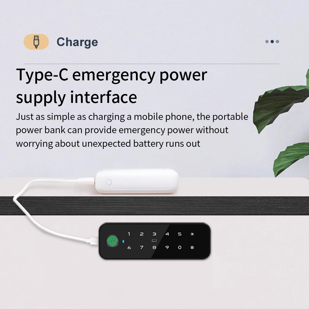 Tuya Bluetooth Akıllı Ahşap Do - Smart Home Key incelemesi ve fiyatı