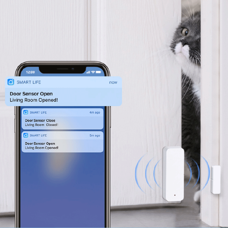 Tuya WiFi Zigbee Kapı Pencere  - Smart Home Remote incelemesi ve fiyatı